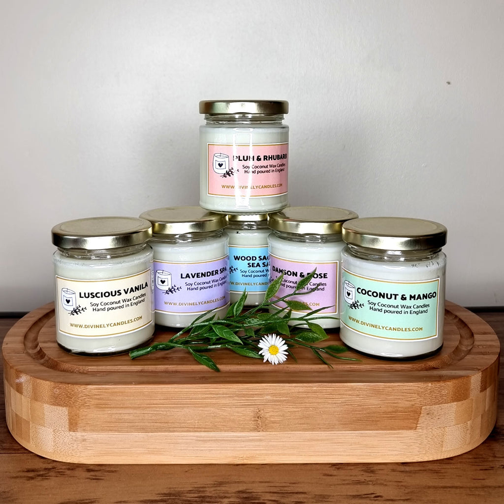 Coconut Wax Candles - wooden wicked 10 ounce candles handmade in Maine –  Venn + Maker